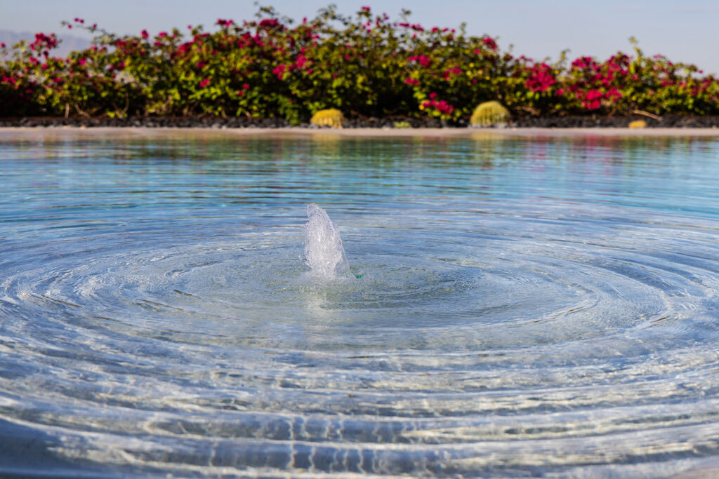 Landscape design and pool photographer