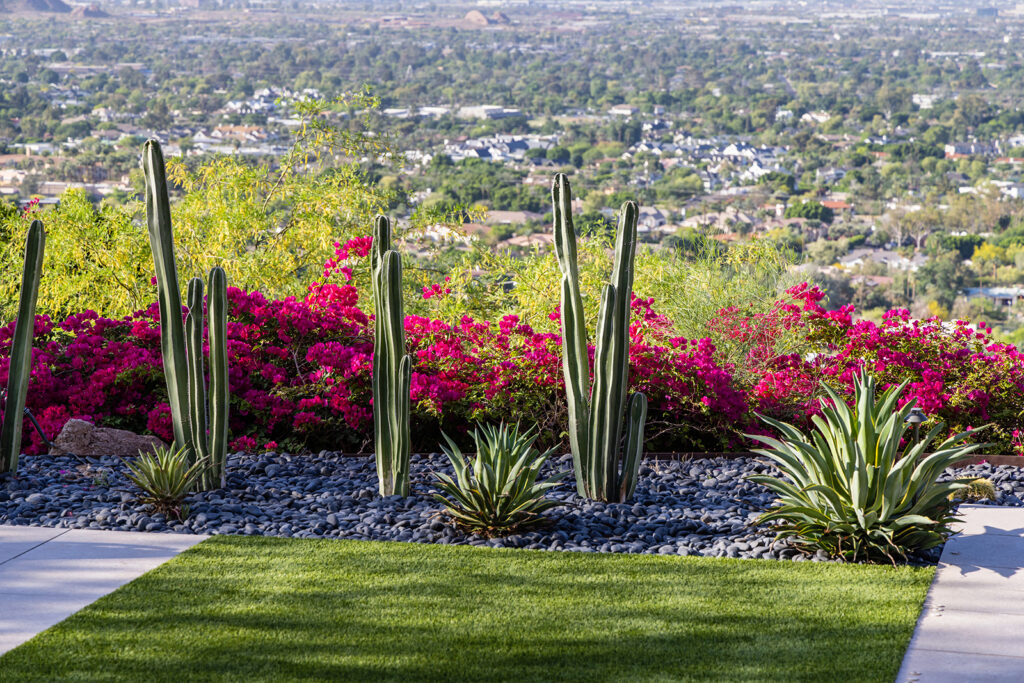 Landscape design and pool photographer